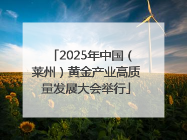 2025年中国（莱州）黄金产业高质量发展大会举行